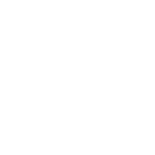 Elya shop